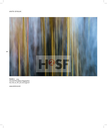 RAA_2015_innenseiten_final_druck_Seite_40