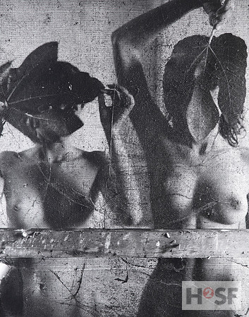 Edition Karin Szekessy_Motiv 07_Feigenblätter, 1984