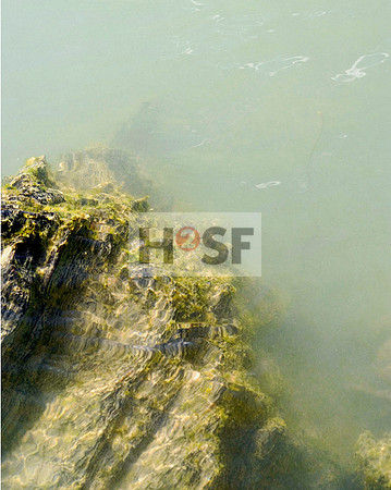 028-031 Loreley Water_Seite_2