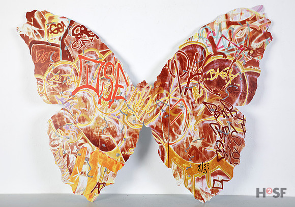 BUTTERFLY 01_orange