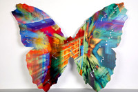BUTTERFLY 08_Blast