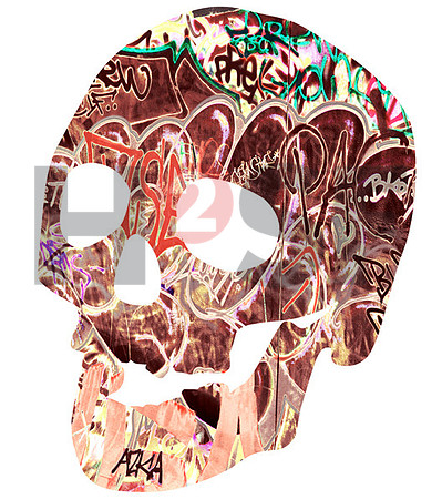 Skull_03 horizontal gedreht