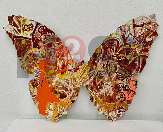Butterfly orange