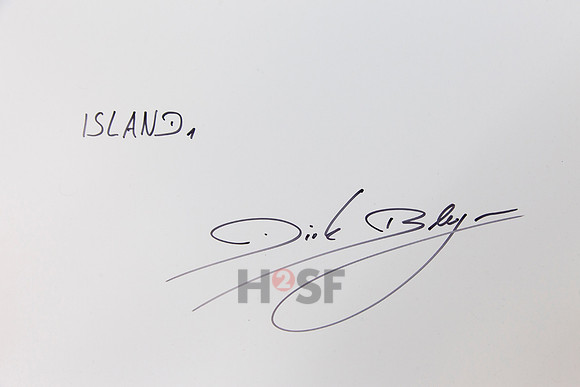 Dirk Bleyer_Island 1_back
