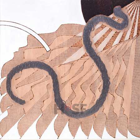 Baumert_Eva_Facing the Worm-50x50