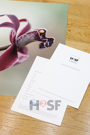 H2SF Editions_02