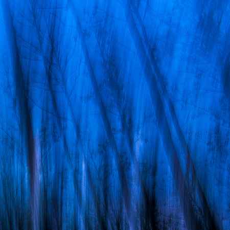 Szydlak_Blue Curtain