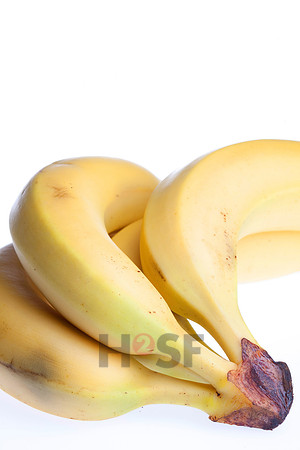 101119SH277.JPG