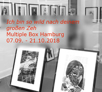 Multiple Box2018 Icon
