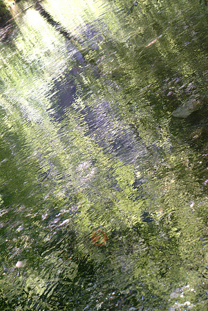 100605SH080.JPG