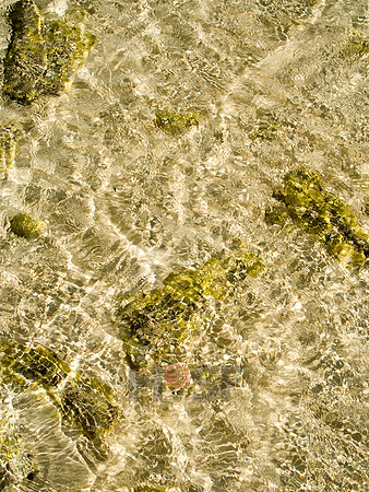 100605SH003.JPG