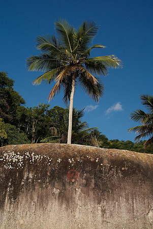 100607SH070.JPG