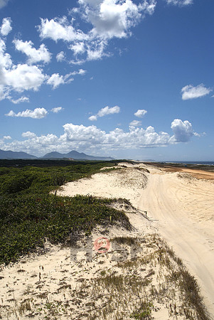 100607SH105.JPG