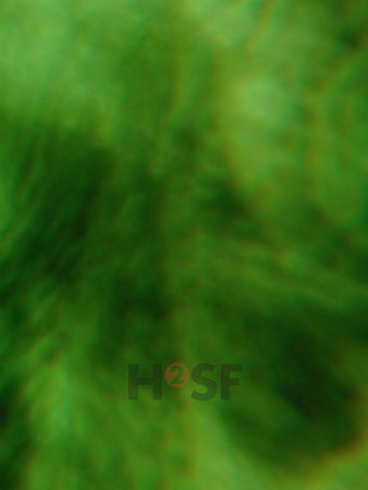 100605SH053.JPG