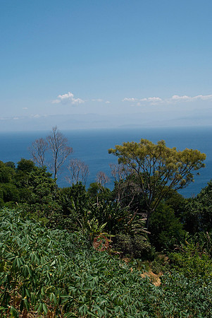 100607SH060.JPG