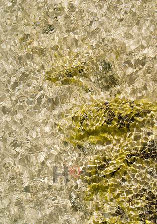 100605SH014.JPG