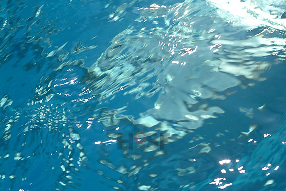 100605SH117.JPG