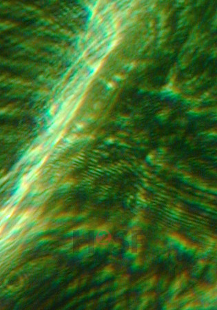 100605SH062.JPG