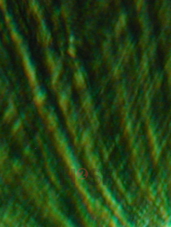100605SH055.JPG