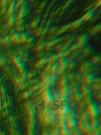 100605SH057.JPG