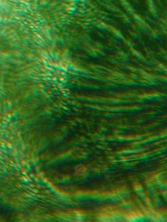 100605SH058.JPG