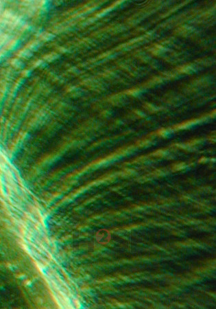 100605SH061.JPG
