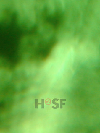 100605SH051.JPG