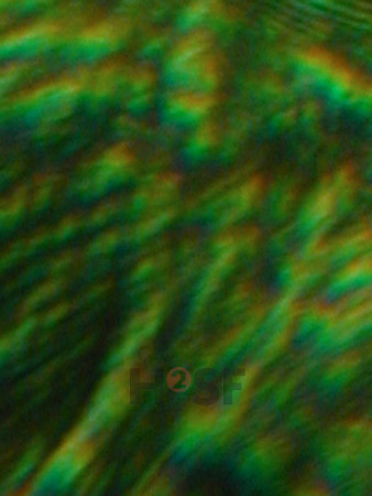 100605SH056.JPG