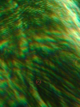 100605SH054.JPG