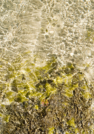 100605SH011.JPG