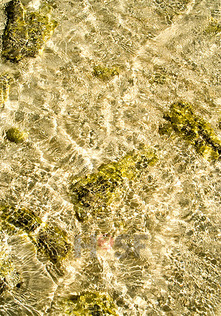 100605SH007.JPG