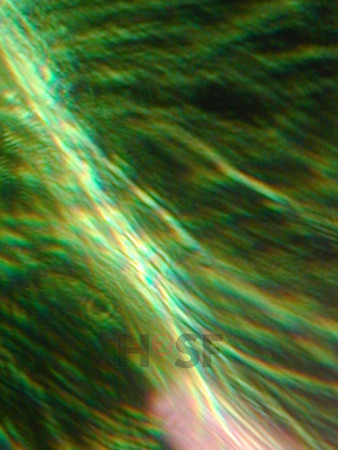 100605SH059.JPG