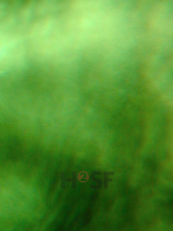 100605SH045.JPG
