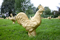 110830SH021H2SF.JPG