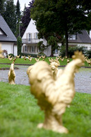 110830SH029H2SF.JPG