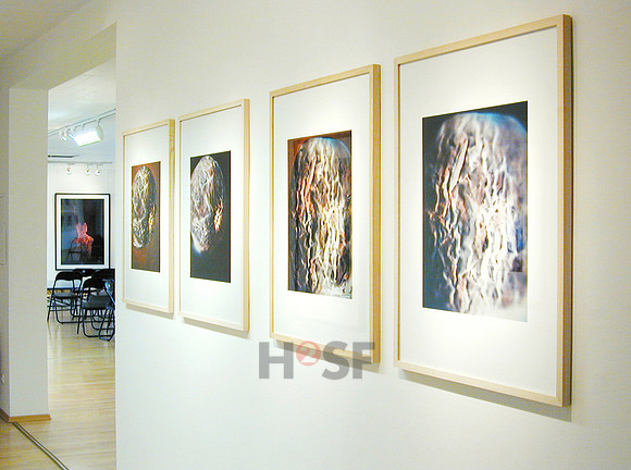 110415SH002