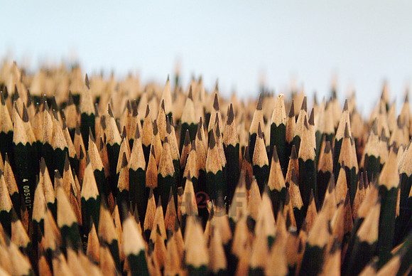 100730SH033.JPG