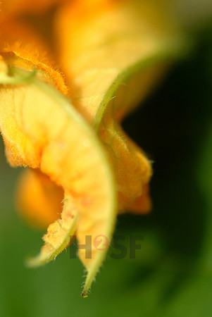 100730SH086.JPG