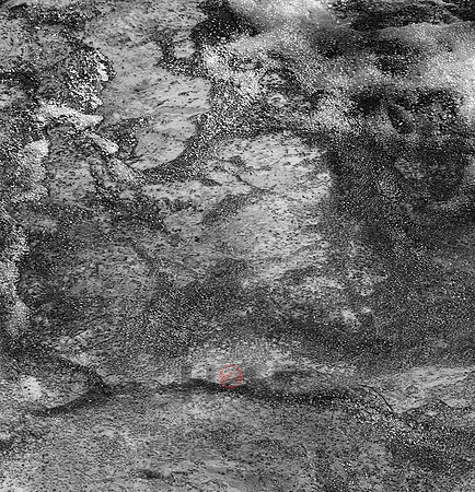 101214SH021