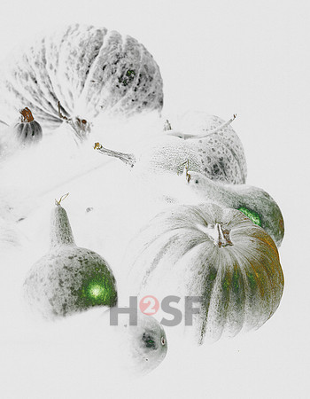 101212SH063