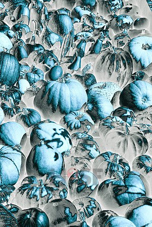 101212SH072
