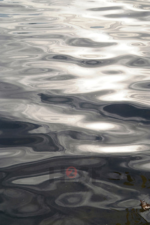 100529SH040
