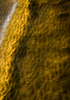 100529SH018