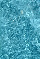 100529SH081