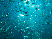 Aqua Globalis 044