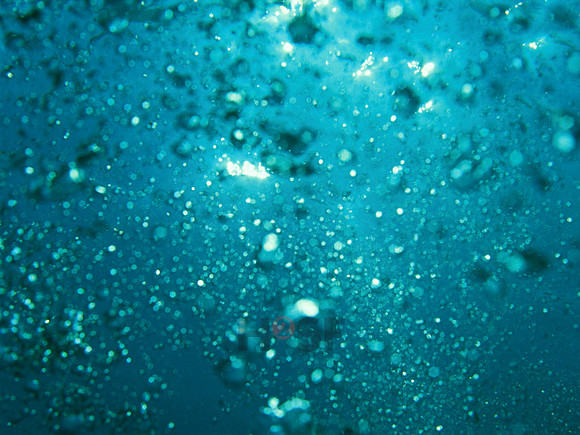 Aqua Globalis 044