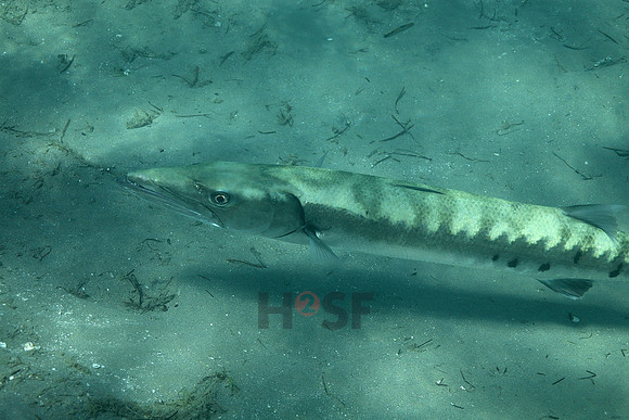 100214SH071.JPG