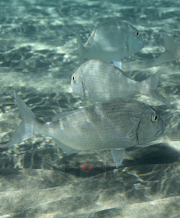 100214SH082.JPG