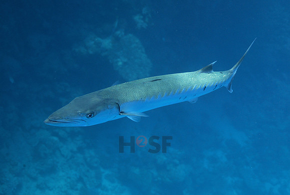 100214SH067.JPG
