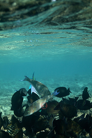 100214SH015.JPG